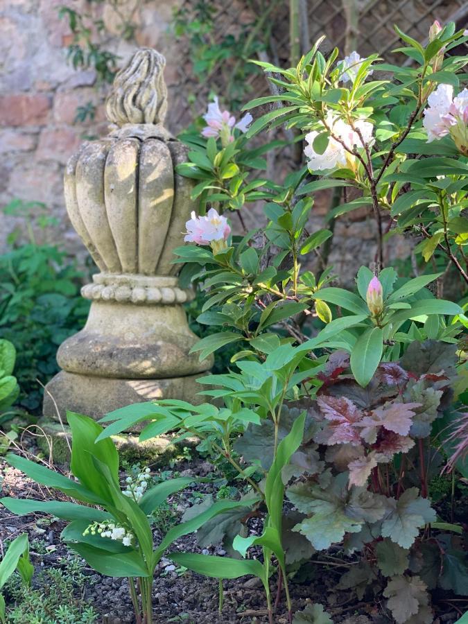 Sainte-Suzanne  Cote Jardin B&B 외부 사진