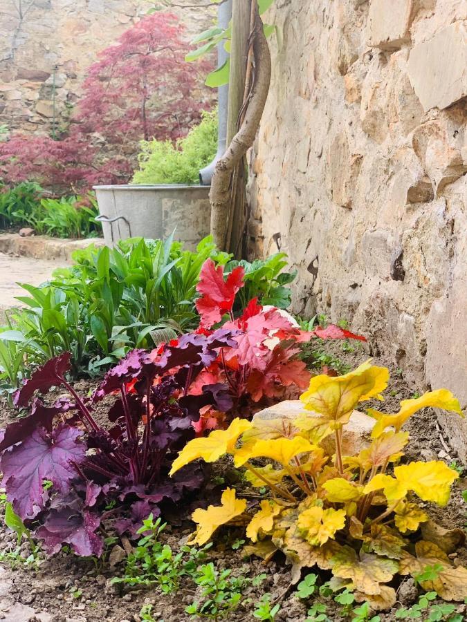 Sainte-Suzanne  Cote Jardin B&B 외부 사진